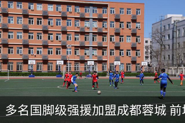 多名国脚级强援加盟成都蓉城 前场还有进人空间